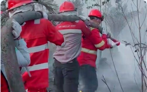 Inalum dan ANTAM Respons Cepat Padamkan Karhutla di Sungai Kunyit